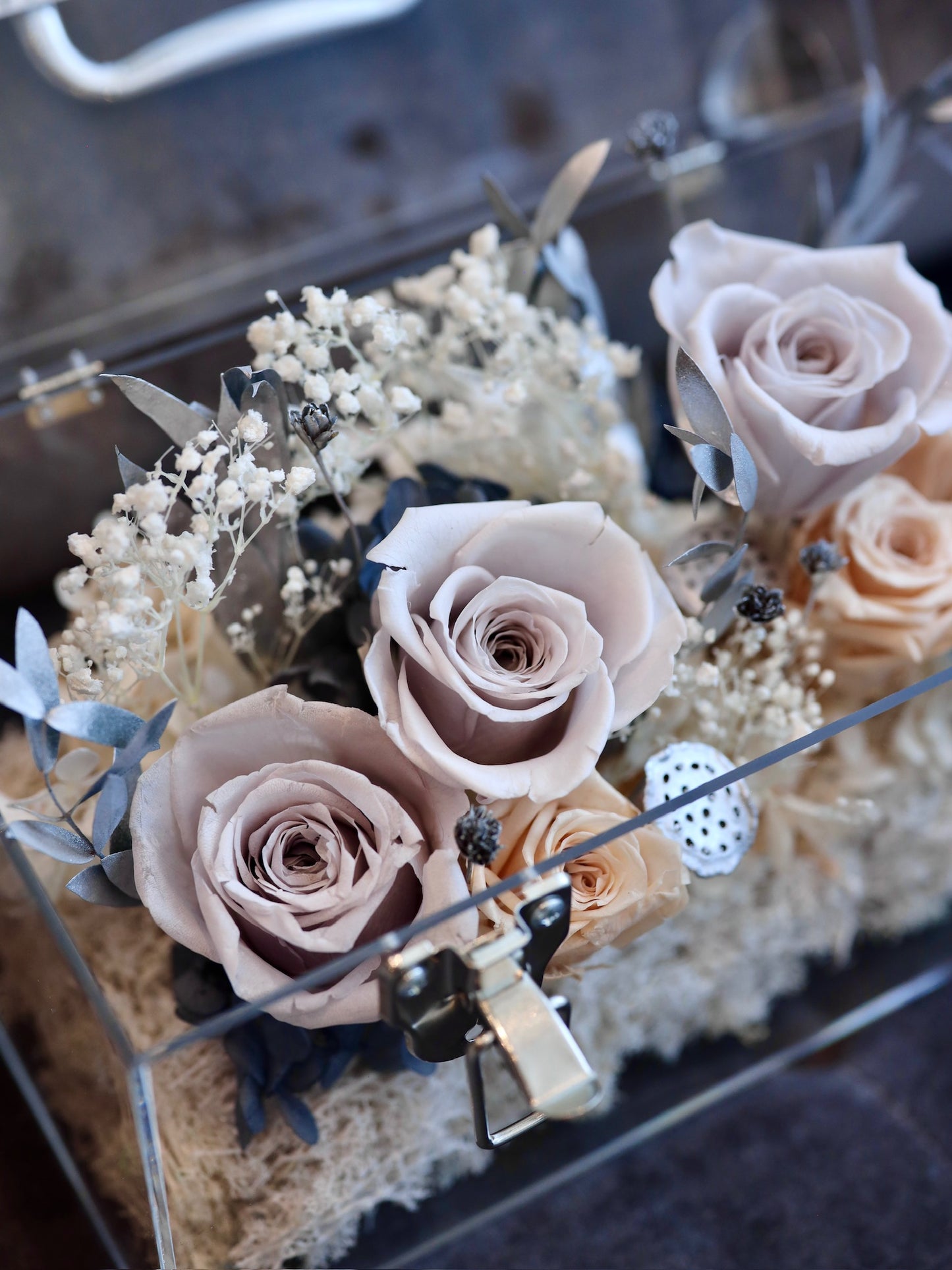 ROSVITA Morandi Preserved Rose Box