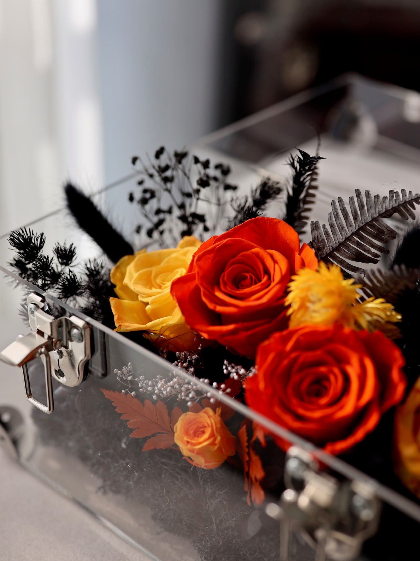 ROSVITA Midnight Blaze Preserved Rose Box