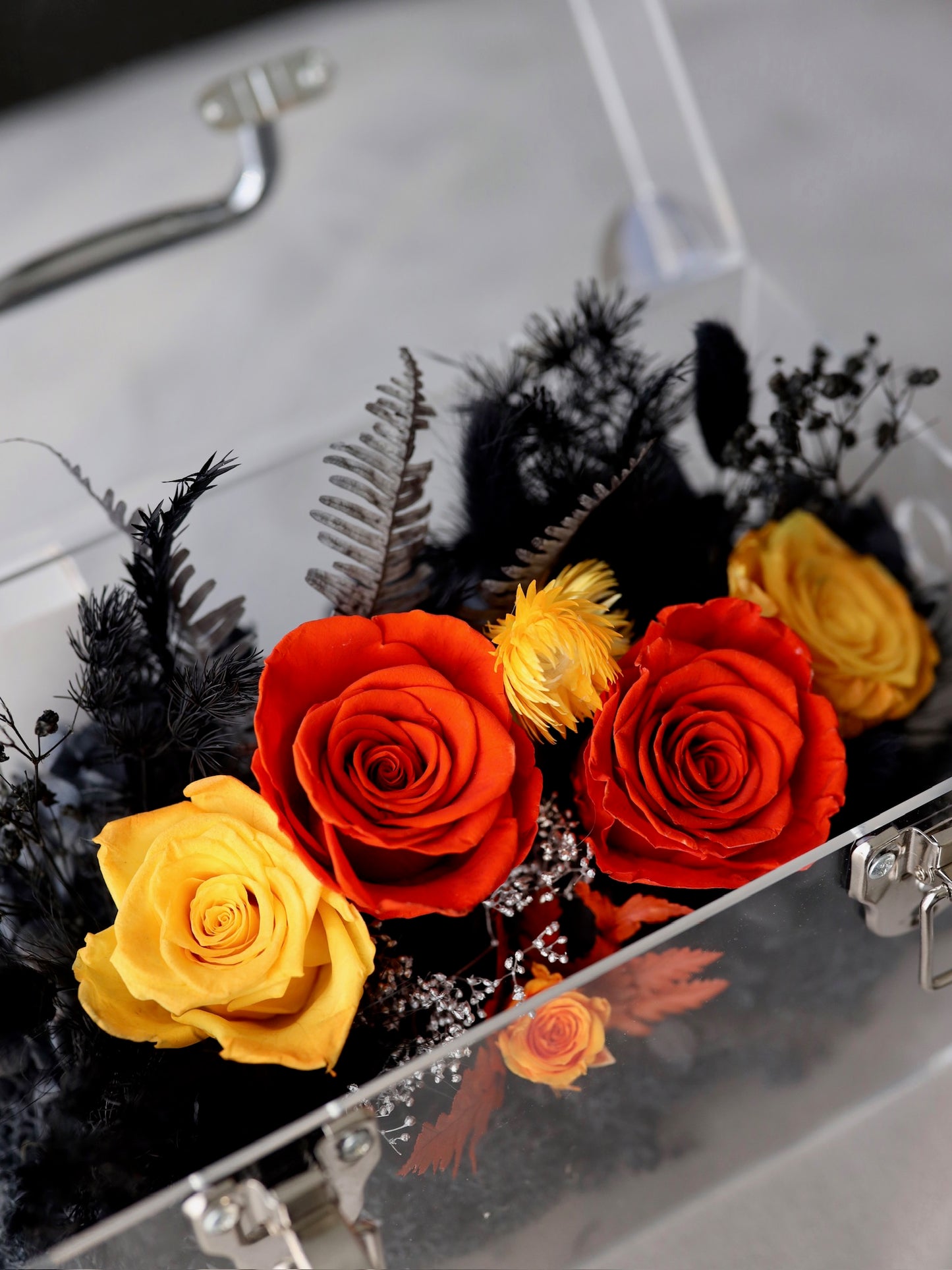 ROSVITA Midnight Blaze Preserved Rose Box