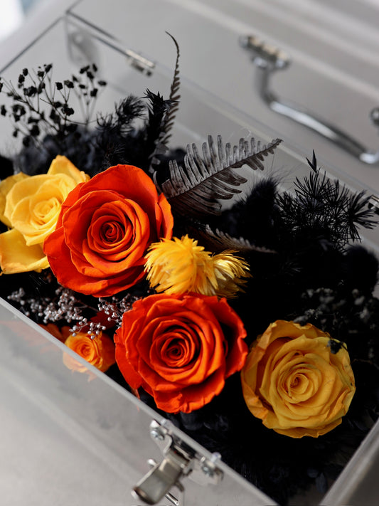 ROSVITA Midnight Blaze Preserved Rose Box