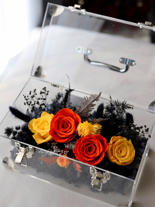 ROSVITA Midnight Blaze Preserved Rose Box