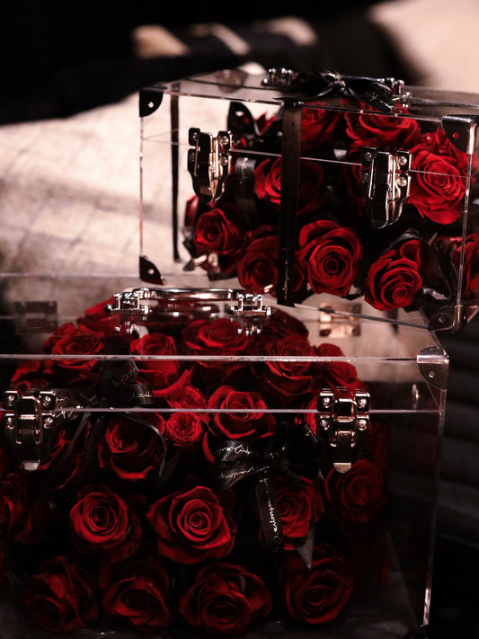 ROSVITA Rouge Éternel Preserved Rose Box